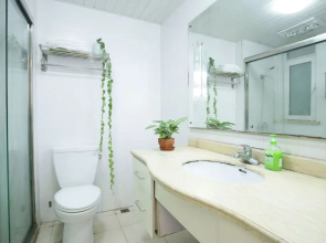Wonderland - Xinzhuang Homestay