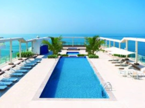 Olive Tree Residence