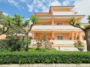 Apartments Marica 3131