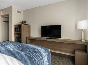 Comfort Inn & Suites Downtown Brickell-Port of Miami