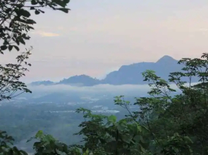 Gibbon Retreat Bentong