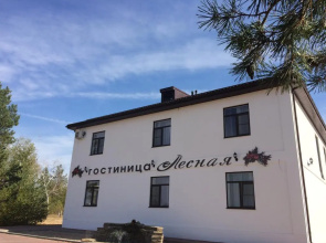 Lesnaya Hotel 