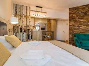 Zen Alpin Studio