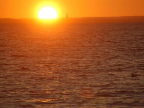 Ostsee-Ferienoase-3-Raum-App-Typ-1