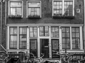 Luxury Flower Market Apartment