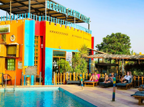 Bedouin Garden Village, Hotel Dive