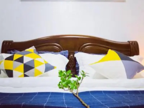 【Common Home】Dream House