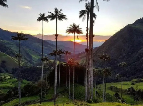 Finca Hotel Boutique La Negrita