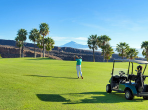 Hotel Jardín Tecina