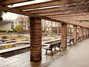 Superior-apartment Near Stuttgart, Garden & Sauna