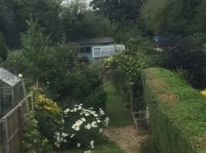 The Cottage