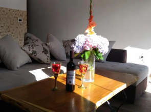 Apartment Mond