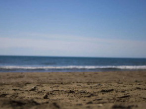 Kalia Beach Hotel Side