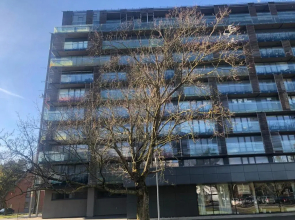 apartmentspalanga No. 2