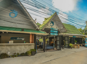 Dpm Diving Hostel & Bar Koh Tao