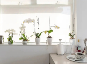 2 Bedroom Apartment with Bay View