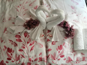 Sun & Love Apartment