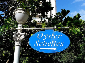 703 Oyster Schelles