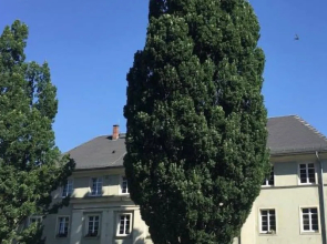 CityApartment Schleiz