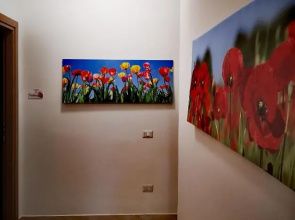 Fiori E Colori