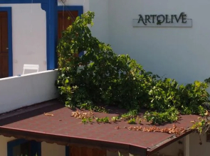 Artolive Datca Butik Otel