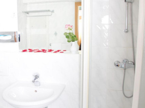 Guesthouse Avsenik
