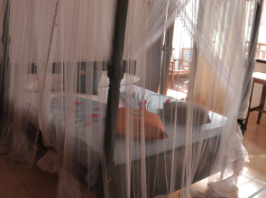 Thenu Rest Guest House