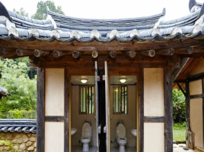 Chungju Wildflowers and Gotaengnadeuri