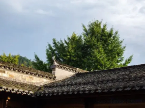 Liuzhu Dongyuan Boutique Hostel