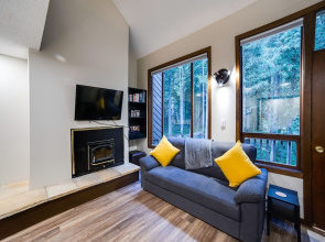 Mt Baker Lodging Condo 68 - Sleeps 4