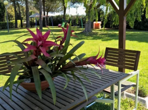 Hotel Riva Etrusca