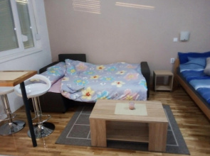 Apartments in city center
