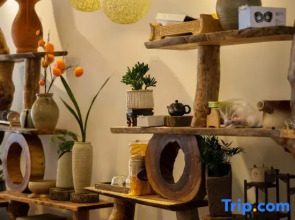 Shangshan · Qi Homestay