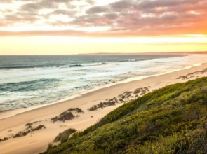A Whale, A Bush Buck and A Glass of Wine