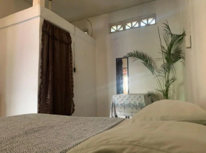 Deli adoquín