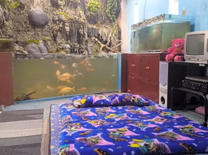 Pelangi Homestay by Luxury Degree