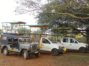 The Jungle Resort
