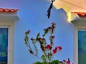 Suite Hortênsia - Quinta Casalinho da Azenha