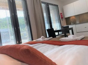 Levi Suites Levi Gold