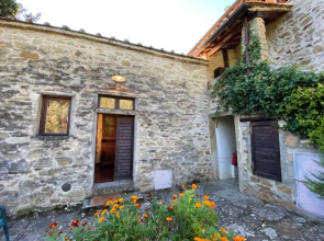 Villa Grassina 11928