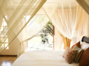 Thatch and Thorn Guest House