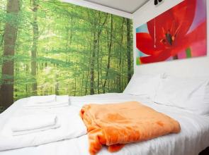 Cosy Studio in the Heart of Trendy Kemptown