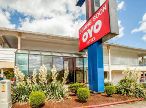 OYO Hotel Centralia