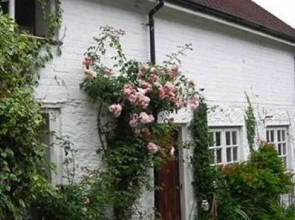 Splatthayes B&B