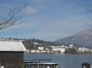 Fleurs Du Lac