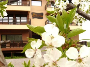 Margo Lounge & Business Resort