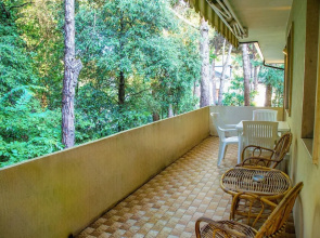Terrace Home by the Pinewood