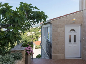 Apartments Carol Royal