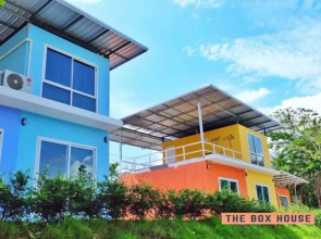 The Box House