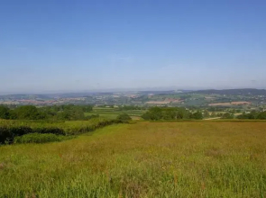 Wyke Farm